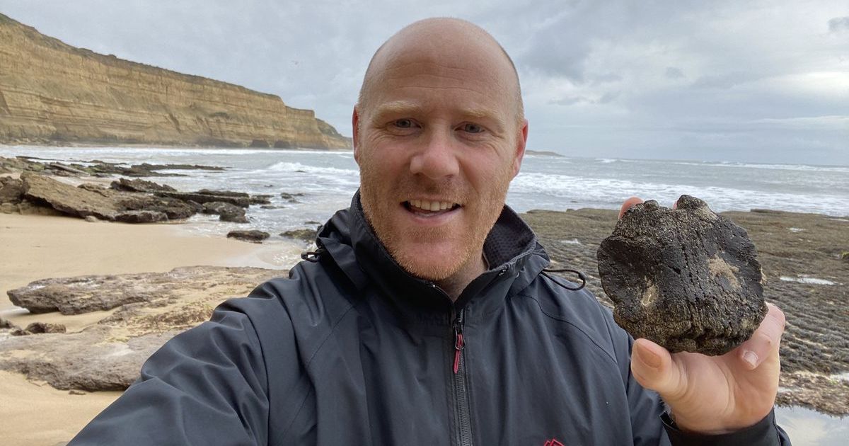 Victorian coastal fossils