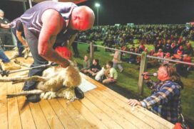 Winchelsea speed shearing