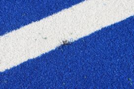 Torquay hockey pitch damage