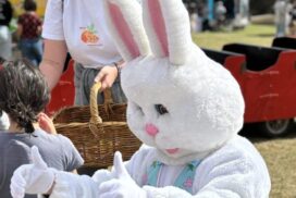 Warralily Easter Market