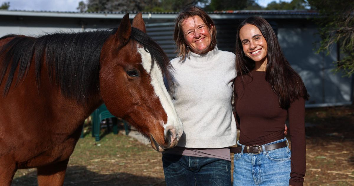 Equine Healing Mount Duneed