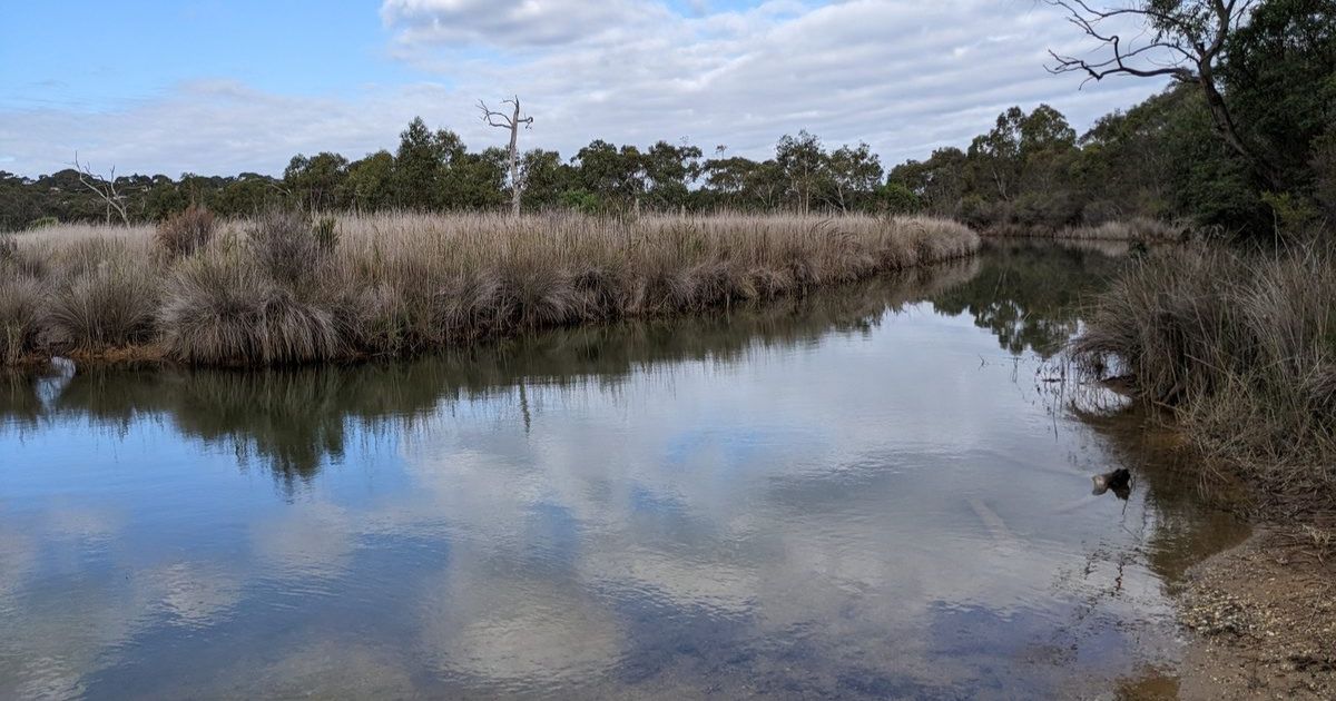 Anglesea River flood study