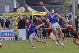 South Barwon Swans coach