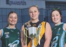 Grovedale Geelong Amateur football