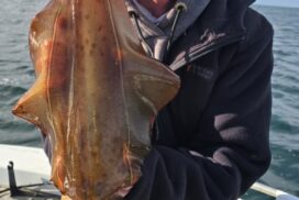 Victorian election fishing demands