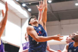 product lands basketball