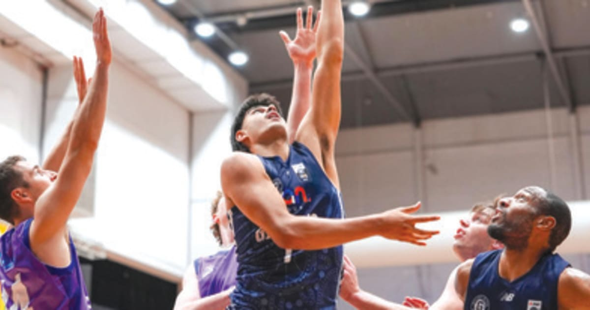 product lands basketball