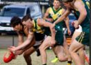 Geelong Cats VFL