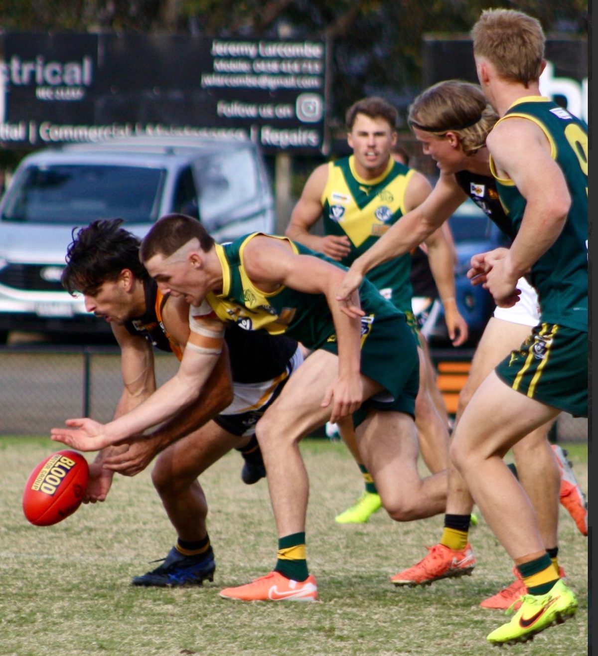 Geelong Cats VFL