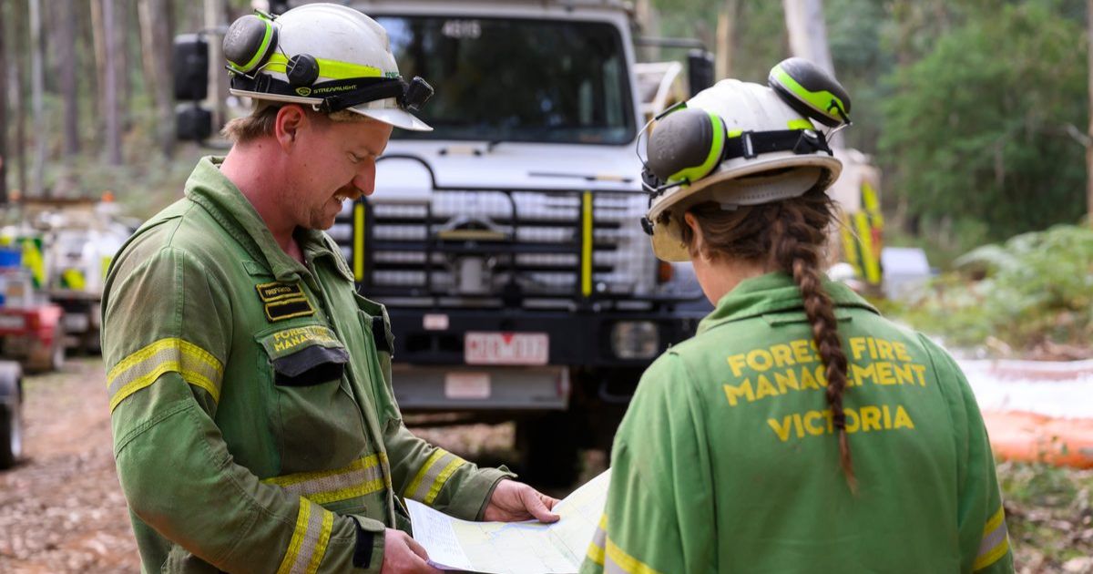 Forest firefighter jobs