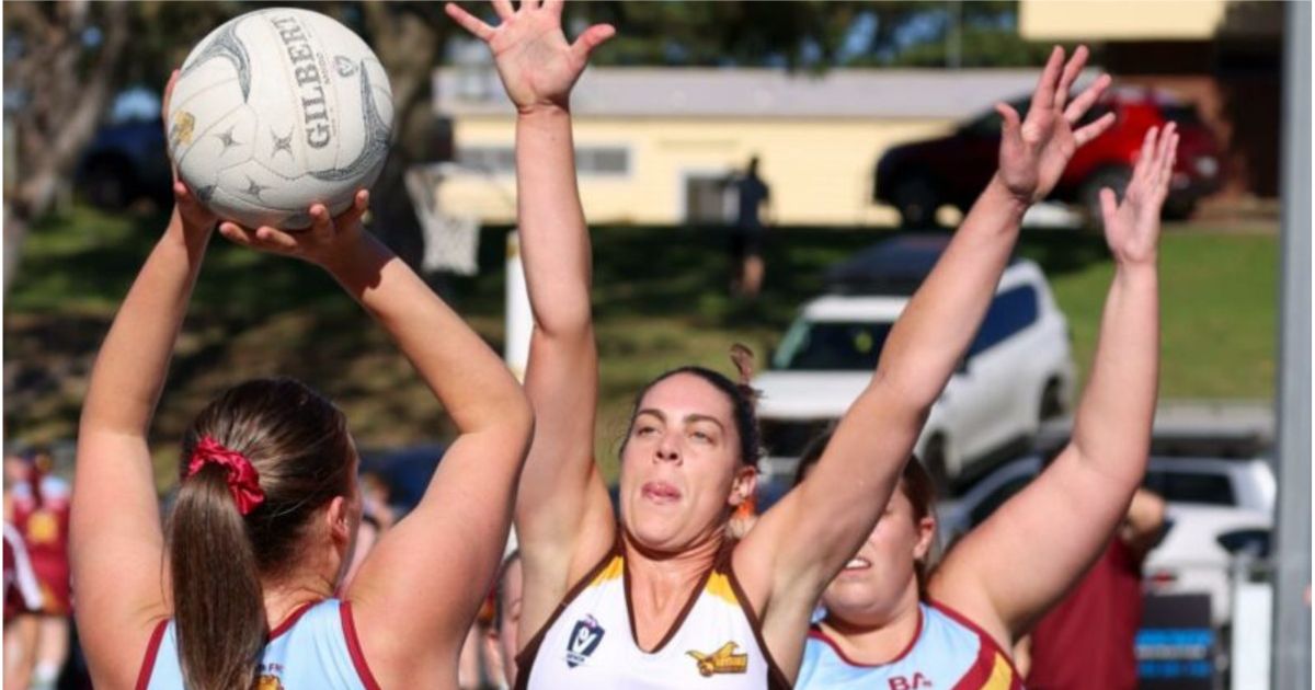 Drysdale Hawks future