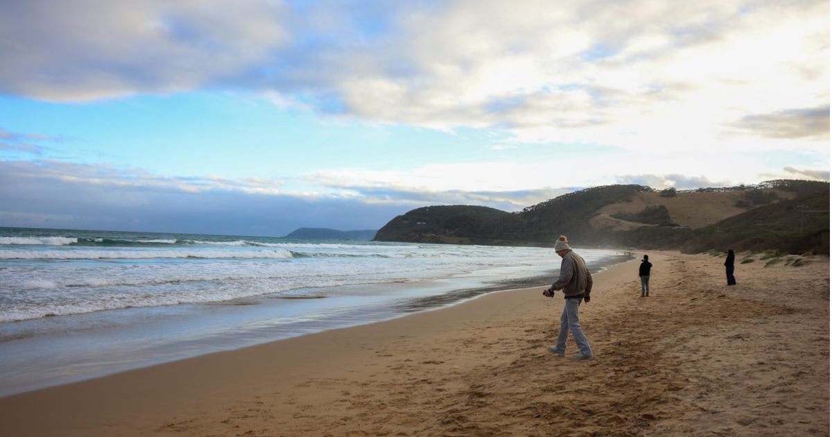 Victorian bird flu concerns