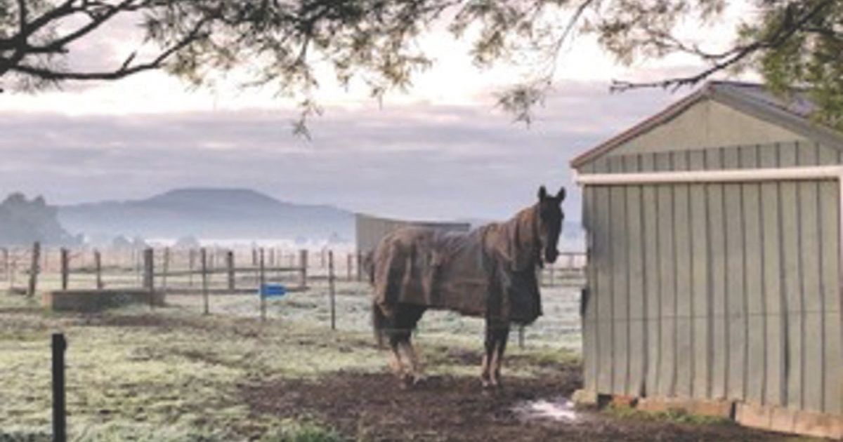 Horse rug laundry Ballarat