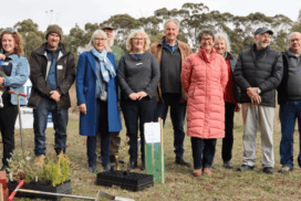 Yarrowee River restoration