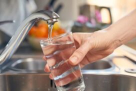 Forest Hill Water