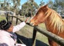 Disability Support Victoria