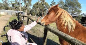 Disability Support Victoria