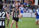 Darley premiership win