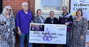 cancer wellness support