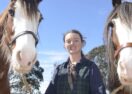 Sovereign Hill animals