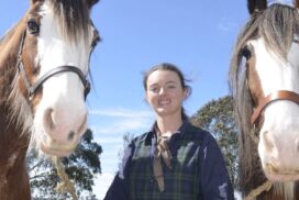 Sovereign Hill animals