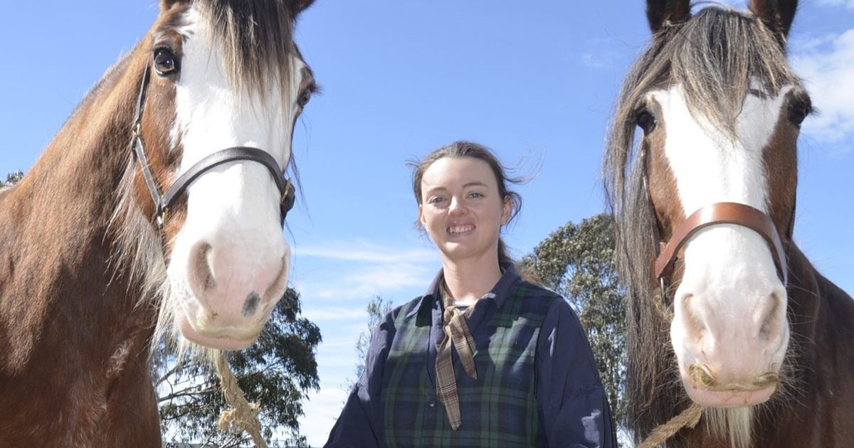 Sovereign Hill animals