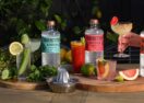 flavoured vodkas launch