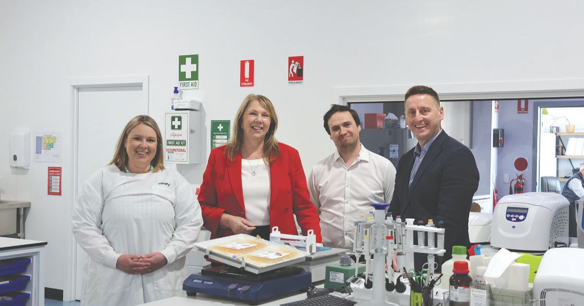 Blood cryopreservation technology