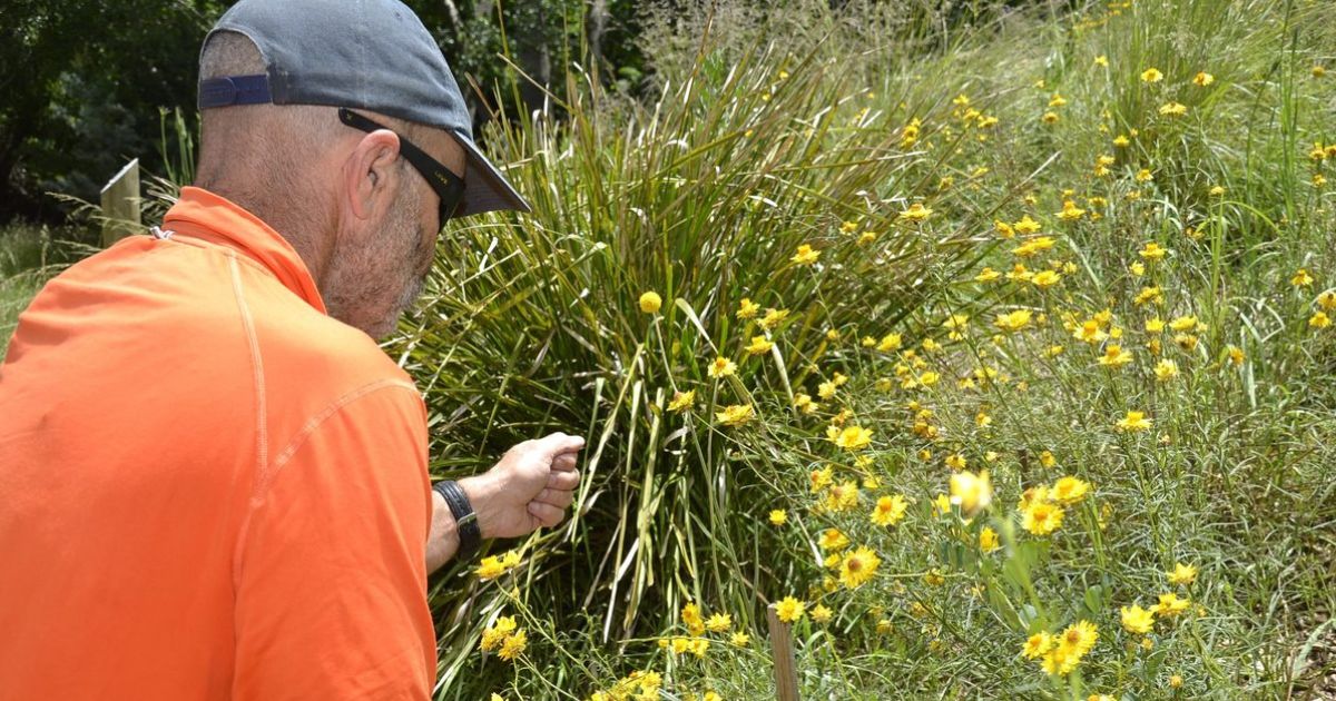 Ballarat Nature Stewards