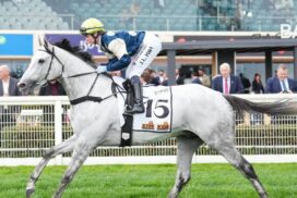 Maher Ballarat Cup