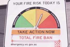 Bushfire leaving early plan