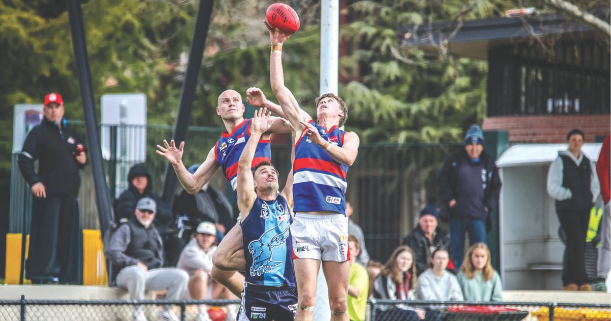 Gisborne League Future