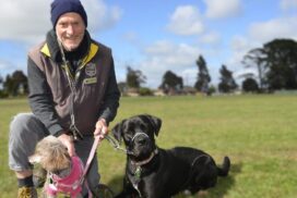 Puppy Preschool Ballarat