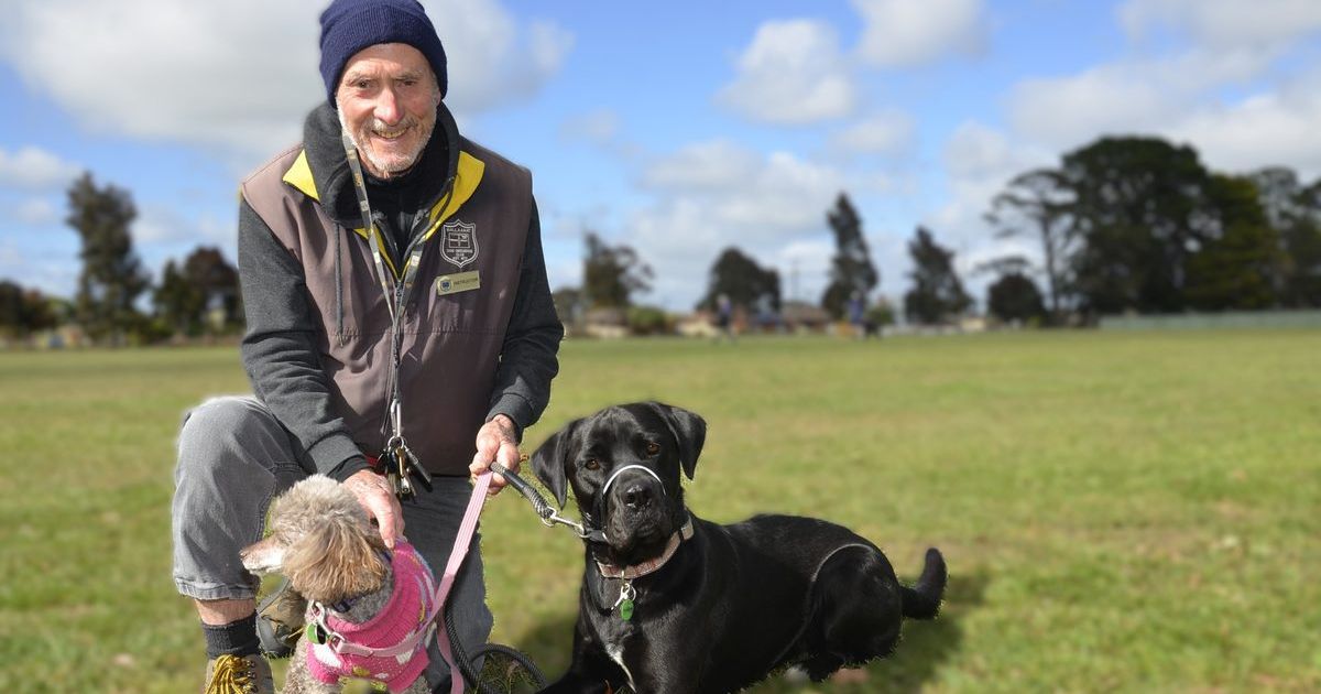Puppy Preschool Ballarat