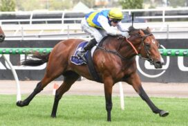 Welcometotheshow Flemington win