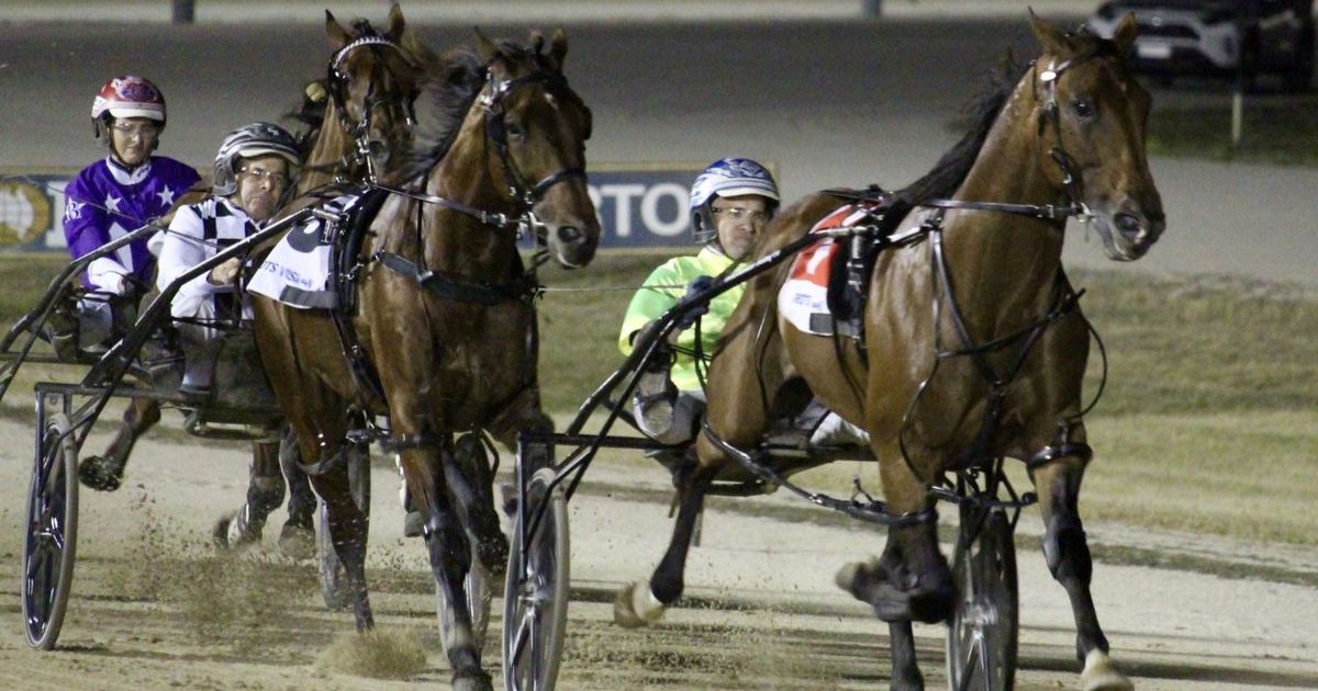 Ballarat Pacing Cup