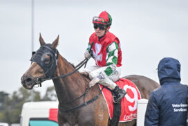 Valentin Le Boeuf Ballarat