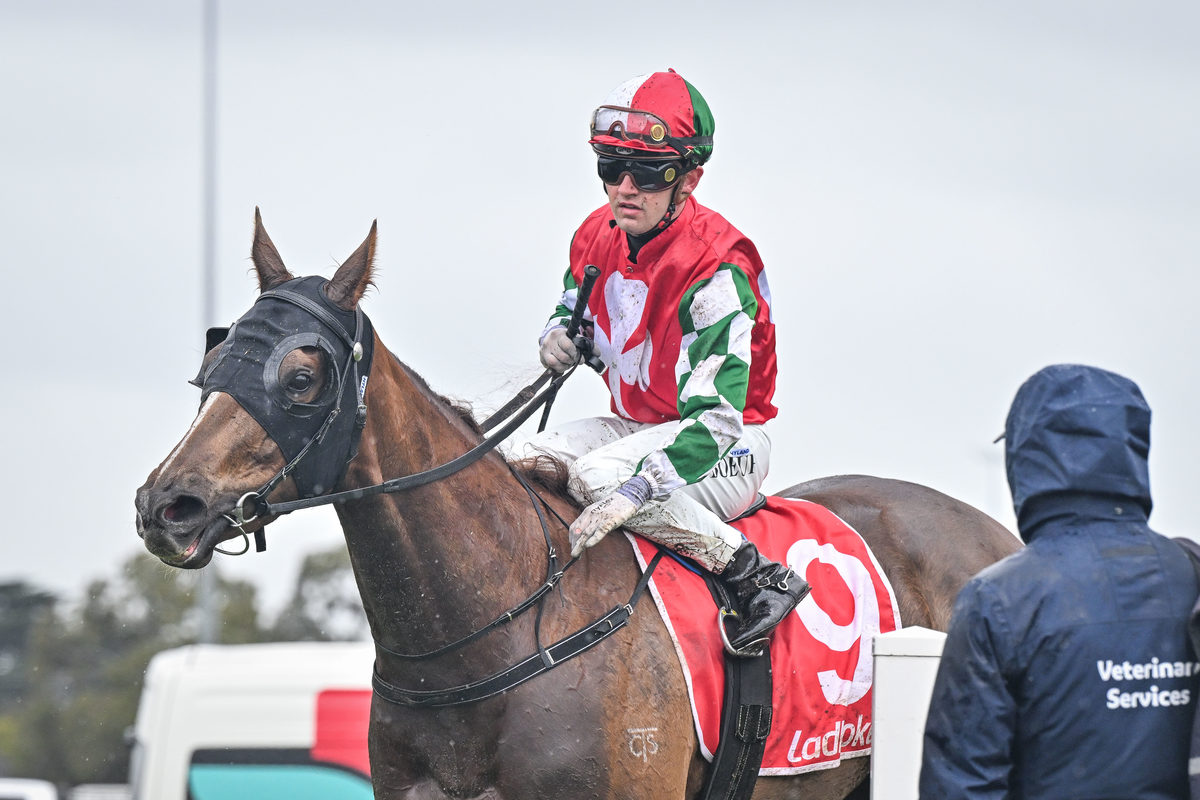 Valentin Le Boeuf Ballarat