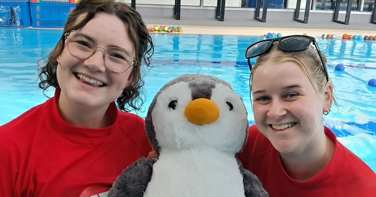 Kindergarten swimming program