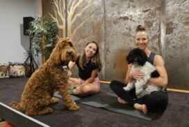Puppy Yoga Sebastopol