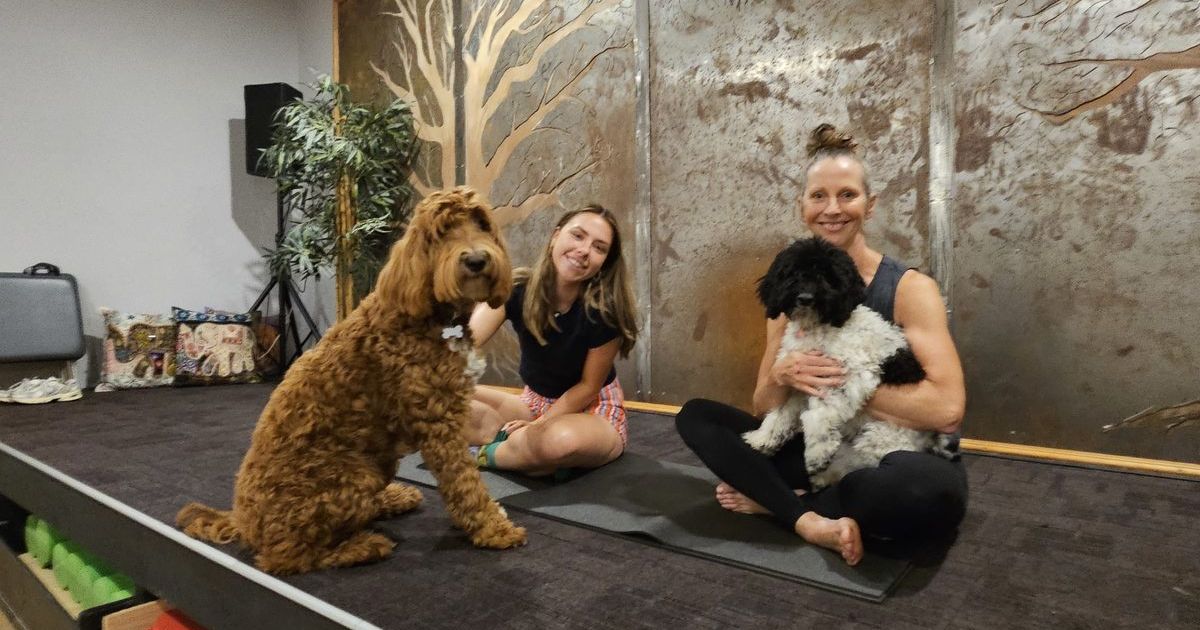 Puppy Yoga Sebastopol