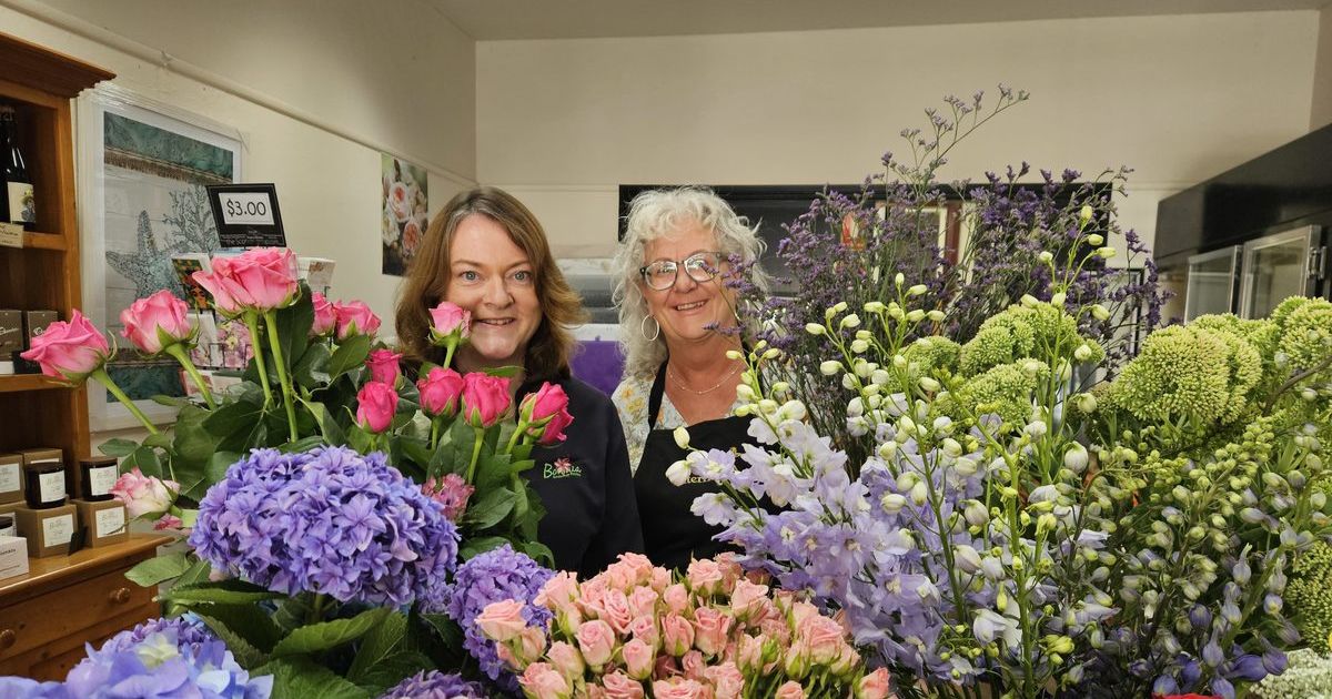 Valentine's Day Florist