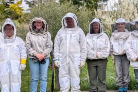 Ballarat bee experience