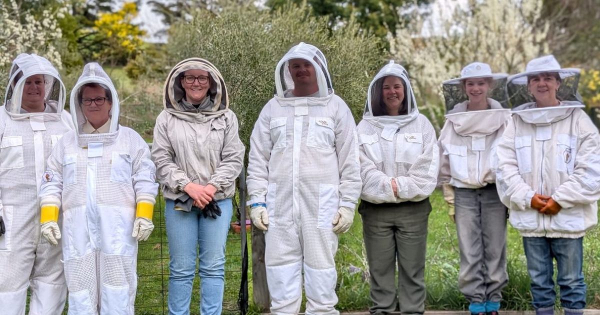 Ballarat bee experience