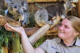 Ballarat Wildlife Park award