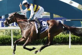 Paradise Storm Auckland Cup