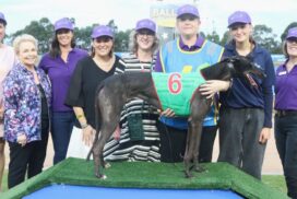Ballarat Cup IWD