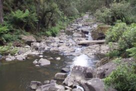 Western Region Water Strategy