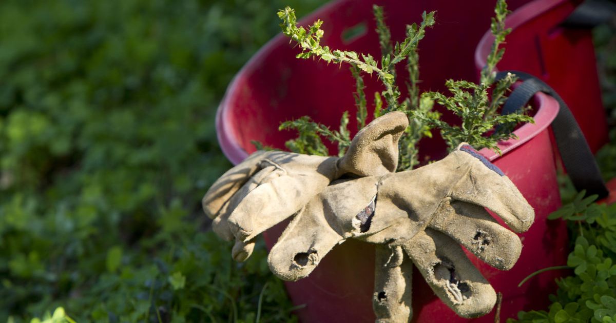 Landcare Grants Victoria