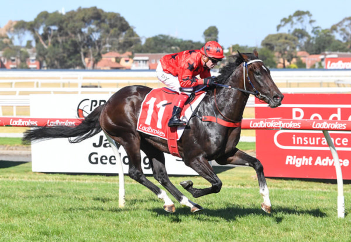 Asakura, ridden by Dean Yendall, wins the Oasis Turf Handicap at Geelong. Photo: BRETT HOLBURT/RACING PHOTOS
